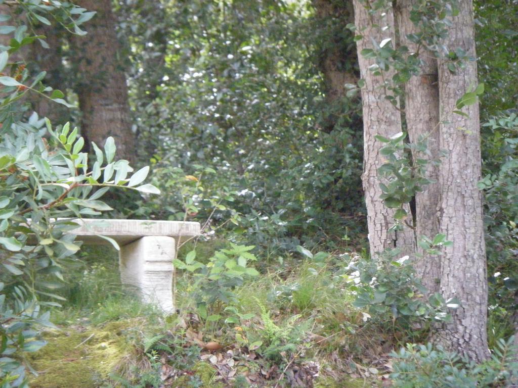 Gite Acellu Bonifacio  Εξωτερικό φωτογραφία